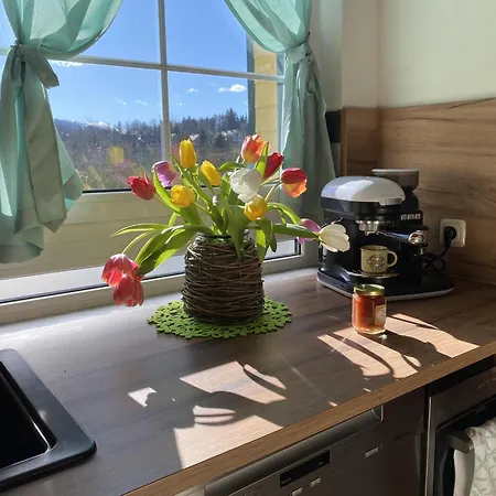 度假居 S' Ferienhuettl Wild-schloegl 里欧查赫